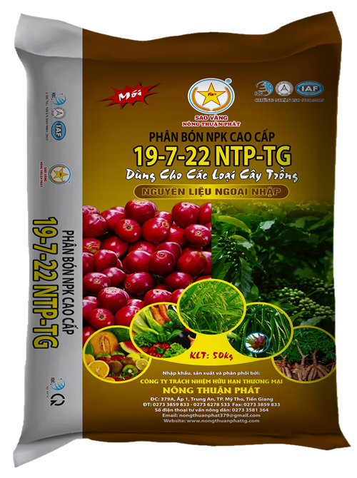 NPK 19-7-22 NTP-TG